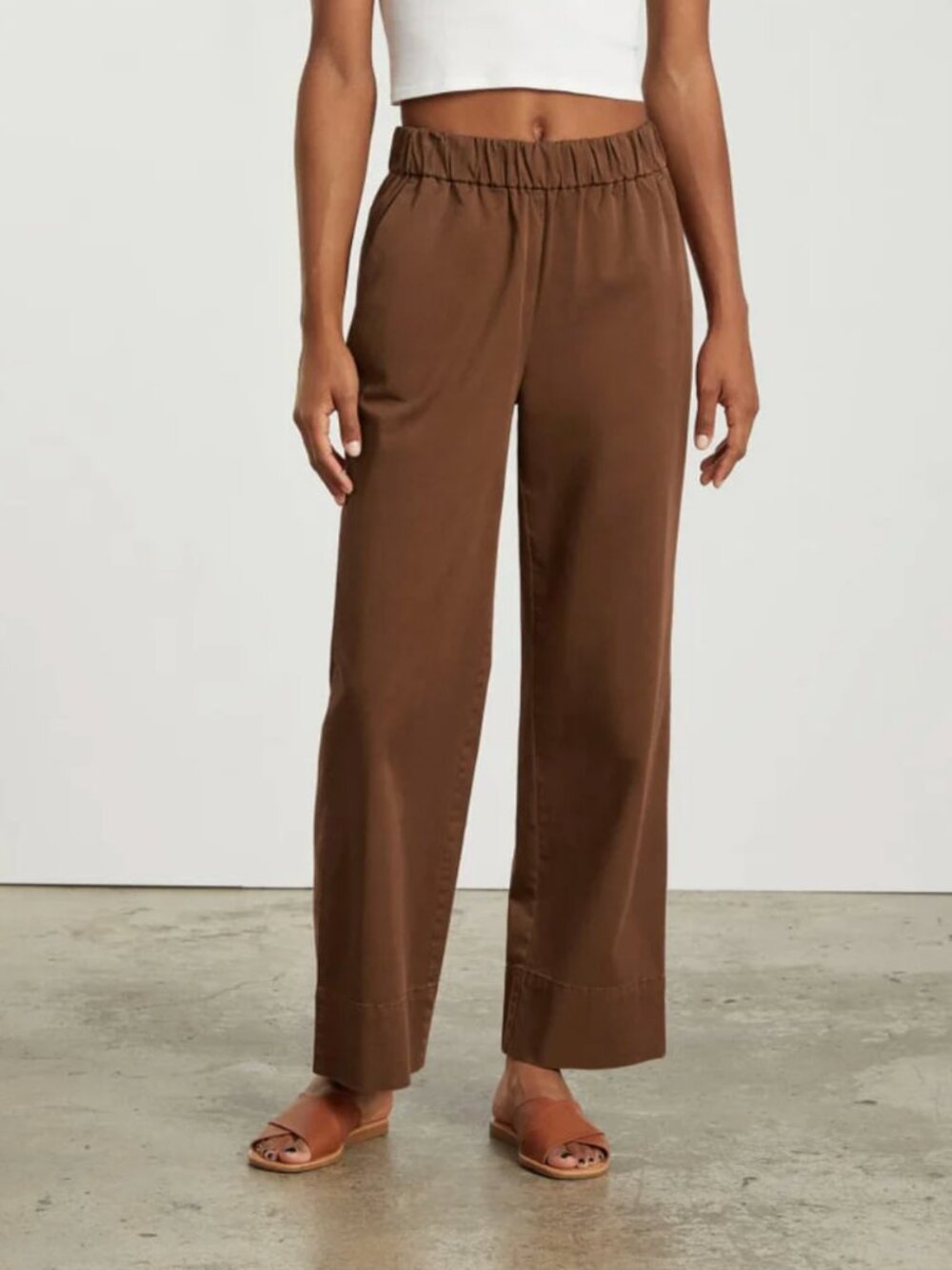 Everlane The Easy Pant in Espresso